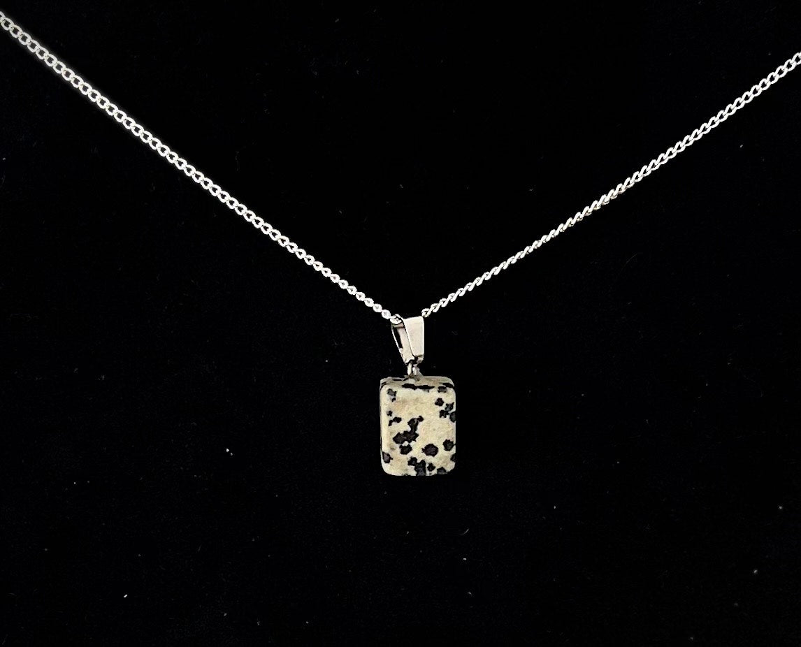 Gemstone necklace (DALMATION JASPER) with Sterling Silver chain
